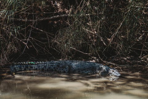 Kakadu Full-Day Tour From Darwin With Lunch - Kawana Tourism 13
