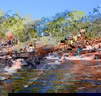 Litchfield and Jumping Crocodiles Full Day Trip from Darwin - Kawana Tourism