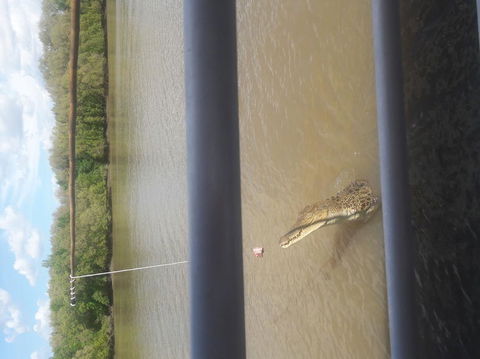 Darwin Jumping Crocodiles Cruise On Adelaide River - Kawana Tourism 3