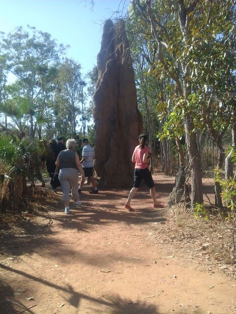 Litchfield National Park Day Tour From Darwin - Kawana Tourism 14