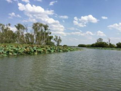 1 Day Corroboree Billabong Wetland Experience Including 2.5 Hour Cruise + Lunch - Kawana Tourism 4