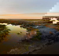 1 Day Corroboree Billabong Wetland Experience including 2.5 hour cruise  lunch - Kawana Tourism