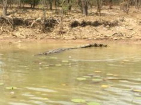1 Day Corroboree Billabong Wetland Experience Including 2.5 Hour Cruise + Lunch - Kawana Tourism 5