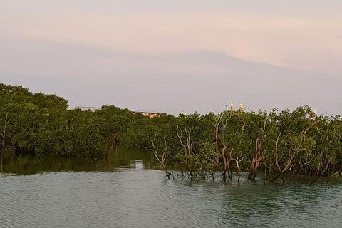 1-Hour Darwin Harbour Highlights Cruise - Kawana Tourism 7