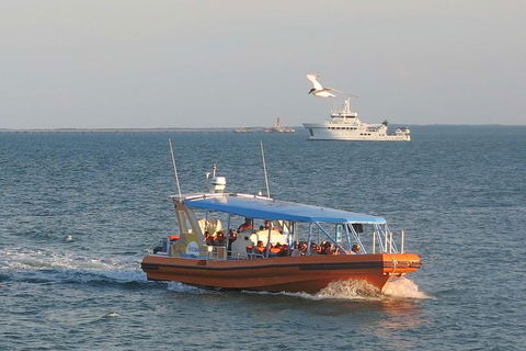 1-Hour Darwin Harbour Highlights Cruise - Kawana Tourism 2