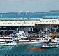 Darwin Harbour Bombing of Darwin Cruise - Kawana Tourism