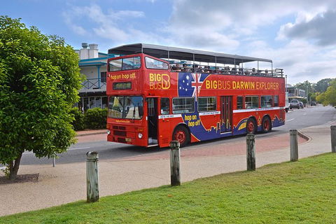 Darwin Shore Excursion: Hop-on Hop-off Bus Tour - Kawana Tourism 0