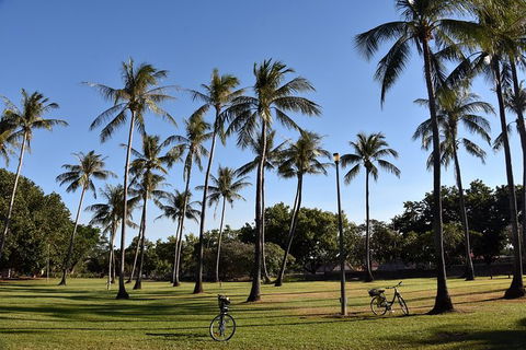 Darwin Shore Excursion: Hop-on Hop-off Bus Tour - Kawana Tourism 11