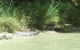 3-Day Kakadu National Park And Waterfalls Tour From Darwin - thumb 2