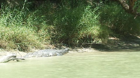 3-Day Kakadu National Park And Waterfalls Tour From Darwin - Kawana Tourism 2