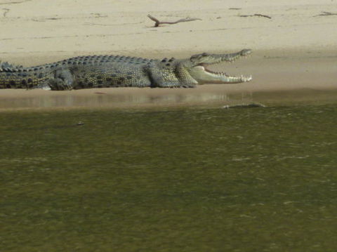 3-Day Kakadu National Park And Waterfalls Tour From Darwin - Kawana Tourism 4