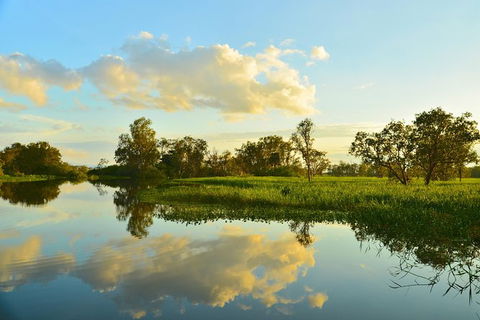 Kakadu National Park Scenic Flight & Cruise - Kawana Tourism 13