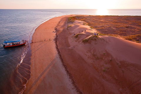 Turtle Tracks Tour To Bare Sand Island From Darwin - Kawana Tourism 6