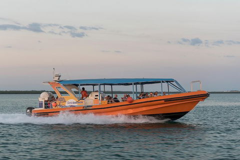 Turtle Tracks Tour To Bare Sand Island From Darwin - Kawana Tourism 5