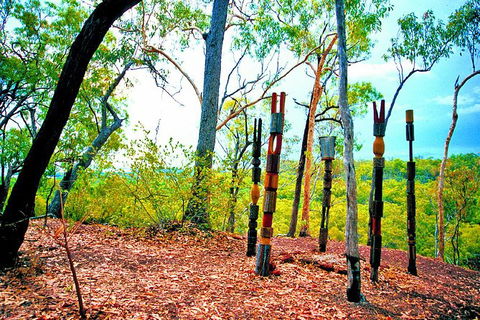 Tiwi Islands Cultural Experience From Darwin Including Ferry - Kawana Tourism 1