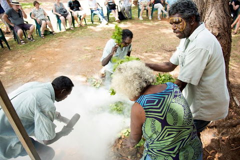 Tiwi Islands Cultural Experience From Darwin Including Ferry - Kawana Tourism 10