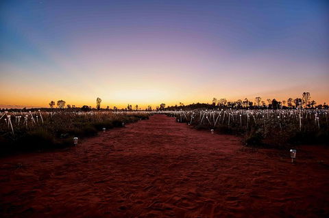 Uluru & Kata Tjuta Sights & Sounds - Kawana Tourism 16