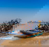 1 Hour Darwin Airboat Tours - Kawana Tourism