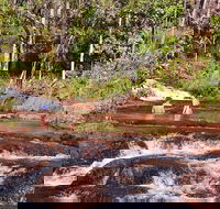 Litchfield National Park Day Tour from Darwin With Waterfalls And Buley Rockhole - Kawana Tourism