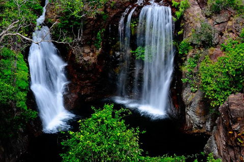 Litchfield Dreams 1 Day National Park Waterfall Swimming & Jumping Croc Cruise - Kawana Tourism 0