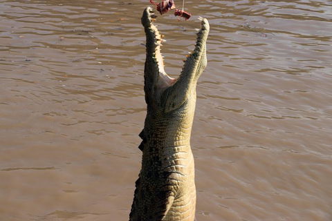 Litchfield Dreams 1 Day National Park Waterfall Swimming & Jumping Croc Cruise - Kawana Tourism 1
