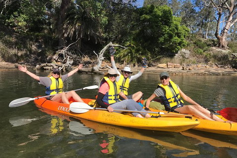 Paddle In Paradise - 4 Hours Double Kayak Hire - Kawana Tourism 2
