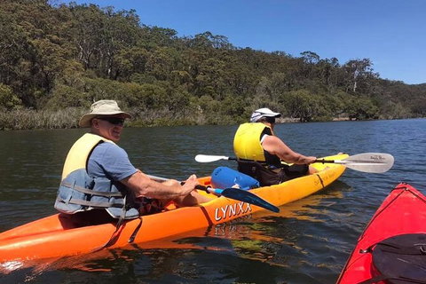 Paddle In Paradise - 4 Hours Double Kayak Hire - Kawana Tourism 4