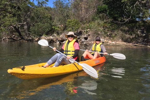 Paddle In Paradise - 4 Hours Double Kayak Hire - Kawana Tourism 6