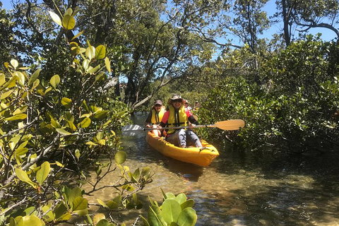Paddle In Paradise - 4 Hours Double Kayak Hire - Kawana Tourism 5