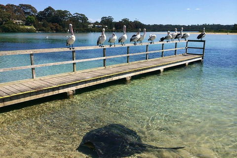 The Eurobodalla Experience (Full Day Private Tour Including Lunch) - Kawana Tourism 2