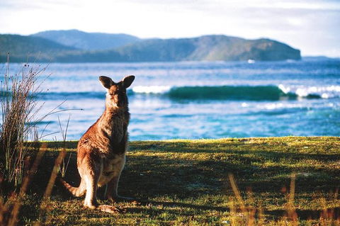 The Eurobodalla Experience (Full Day Private Tour Including Lunch) - Kawana Tourism 7