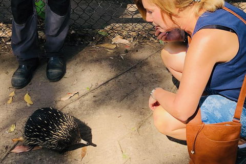 The Eurobodalla Experience (Full Day Private Tour Including Lunch) - Kawana Tourism 18