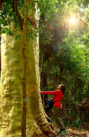 3 Day Murramarang Coast Journey From Batemans Bay With Meals And Villa Accom - Kawana Tourism 4