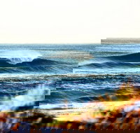 7-Day Byron Bay Evans Head and Moonee Beach Surf Safari from Brisbane Gold Coast or Byron Bay - Kawana Tourism