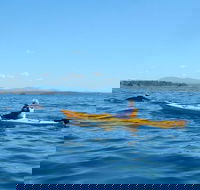 Whale Watching by Sea Kayak in Batemans Bay - Kawana Tourism
