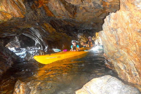 Whale Watching By Sea Kayak In Batemans Bay - Kawana Tourism 4
