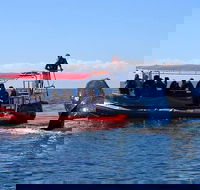Byron Bay Whale Watching Cruise - Kawana Tourism