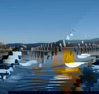 Batemans Bay Oyster Tasting Kayak Tour - Kawana Tourism
