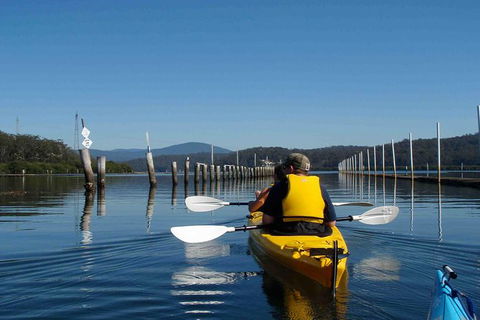 Batemans Bay Oyster Tasting Kayak Tour - Kawana Tourism 0