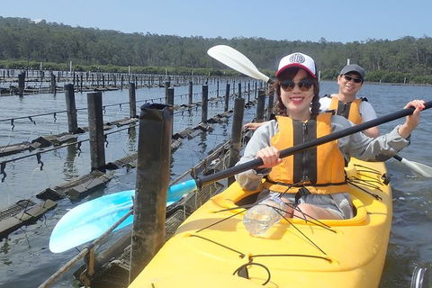 Batemans Bay Oyster Tasting Kayak Tour - Kawana Tourism 5
