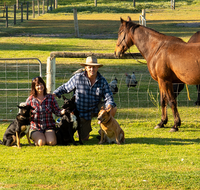 Meet The Animals - Kawana Tourism