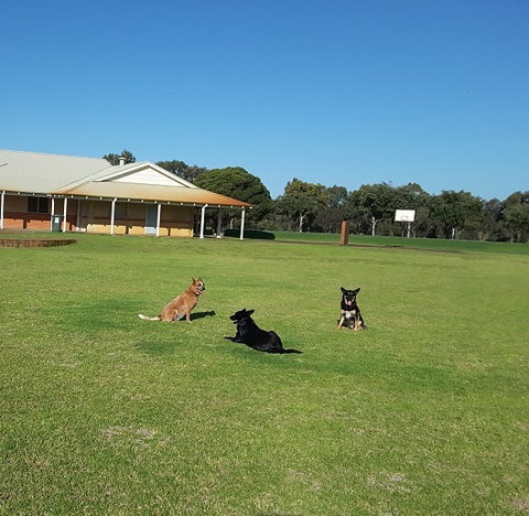 Meet The Animals - Kawana Tourism 3