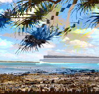 Arrawarra-Corindi Beach - Kawana Tourism