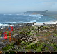 Bibbulmun Track - Kawana Tourism