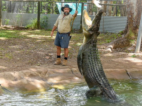 Billabong Sanctuary - Kawana Tourism 1