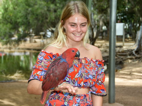 Billabong Sanctuary - Kawana Tourism 2