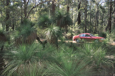 Bridgetown Jarrah Park - Kawana Tourism 0