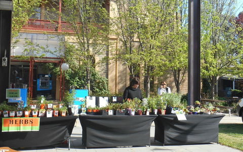 Clare Show Market - Kawana Tourism 0