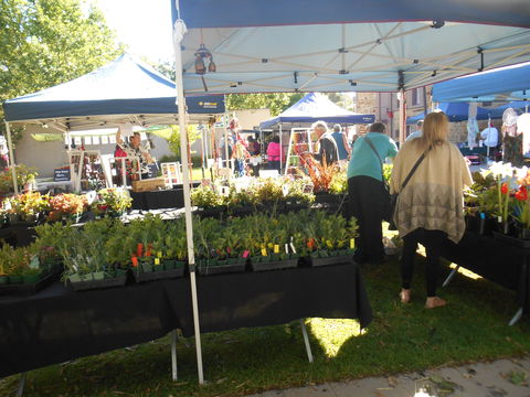 Clare Show Market - Kawana Tourism 1