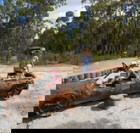Crooked Brook Forest - Kawana Tourism